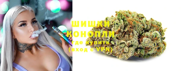 ALPHA PVP Горнозаводск