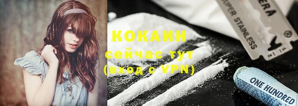 ALPHA PVP Горнозаводск