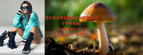 ALPHA PVP Горнозаводск