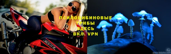 ALPHA PVP Горнозаводск