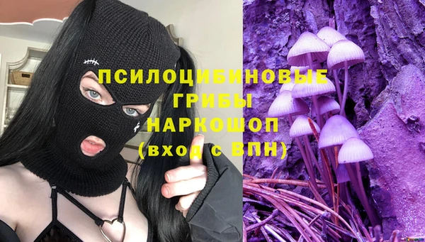 хмурый Горно-Алтайск