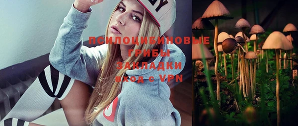 хмурый Горно-Алтайск