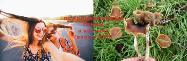хмурый Горно-Алтайск