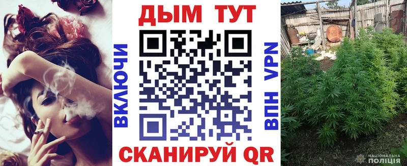 Купить закладки  Красноармейск  Каннабис конопля 